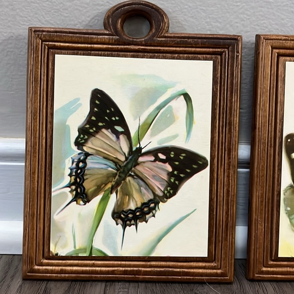 3 Charming Vintage Arthur A. Kaplan Butterflies on Wood prints - Picture 14 of 16